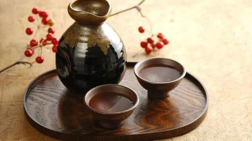 醬酒 醞釀?dòng)跁r(shí)光的成熟人生哲學(xué)